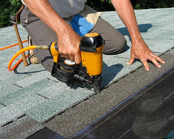 Best Roof Gutter Cleaning  in Ranson, WV