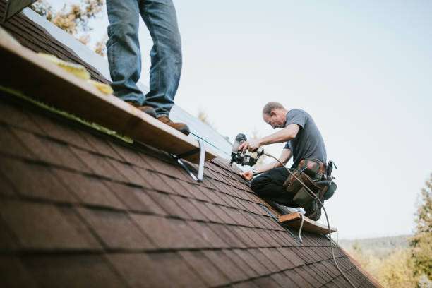 Best Storm Damage Roof Repair  in Ranson, WV